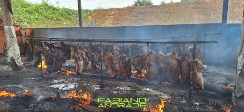 COSTELAÇO DO FABIANO ANDRADE (1)