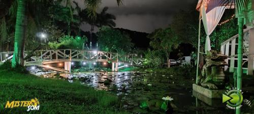 Festa 35 Anos da Mister Som (182)